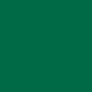 Elastic Flex - 0.5 x 25 m - Green